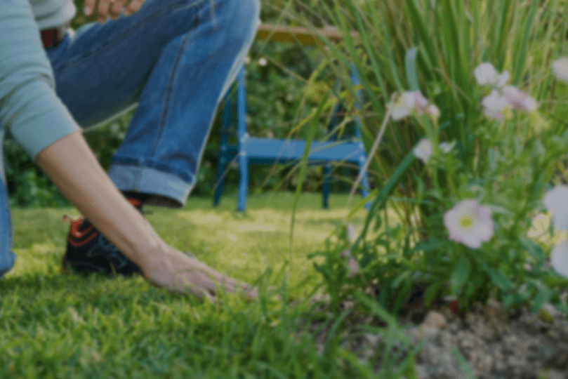 Uma mão tocando na grama ao lado de um canteiro de flores
