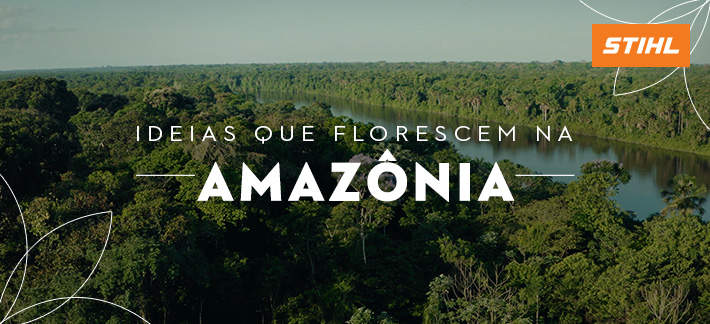 imagem aerea da amazonia